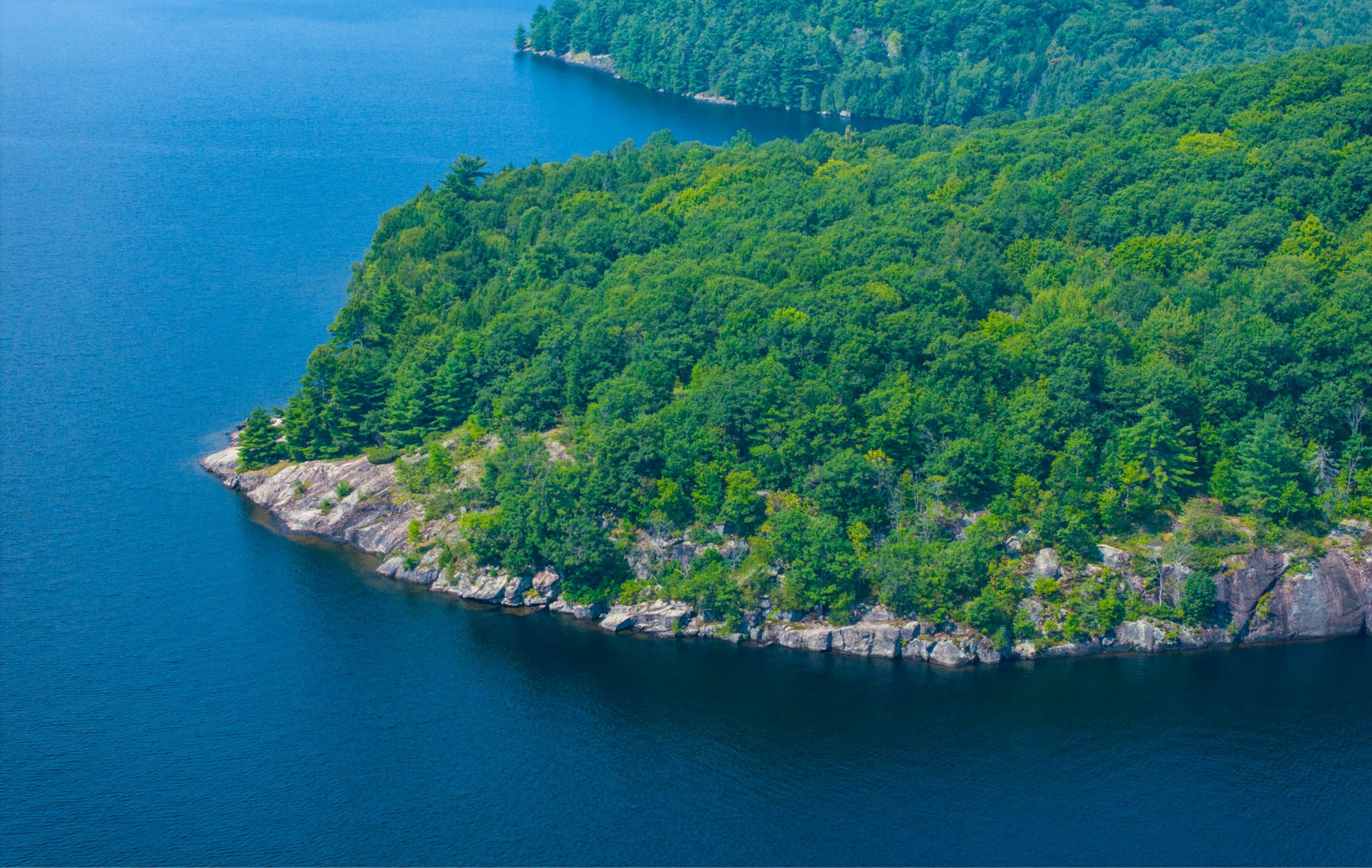 Aerial view of a lush green forested island surrounded by blue water.