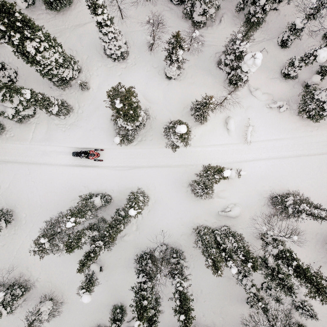 Aerial view of a person skiing through snow-covered trees