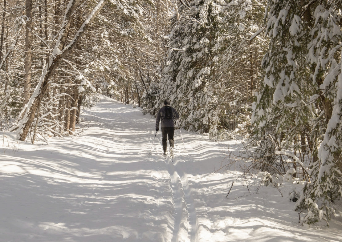 Person cross-country skiing on a snow-covered trail through a forest